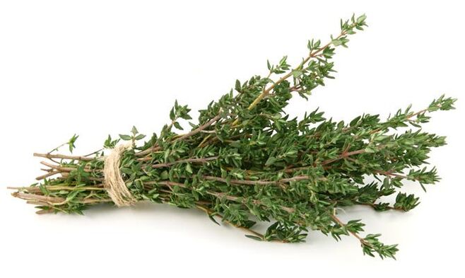 timijan za povećanje penisa